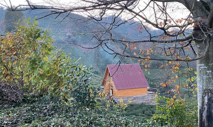 Derepazarı Ski Chalet | Derepazarı/Rize -Bungalov