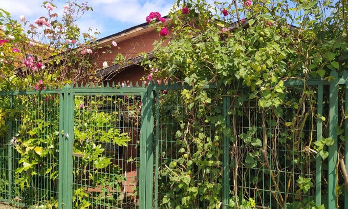 Ancud House | Descanso el Chucao