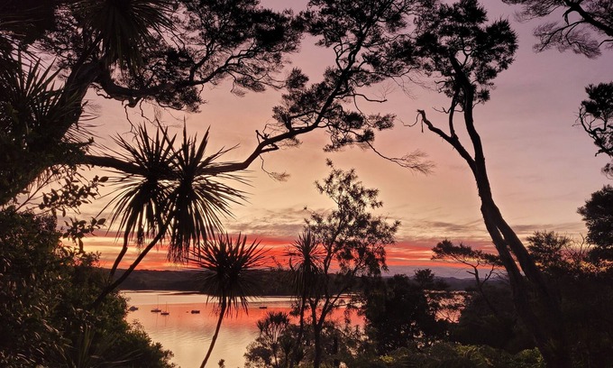 Mahurangi House | Designer Dwelling in Native Bush With Intimate Harbour Views. 13km to Matakana