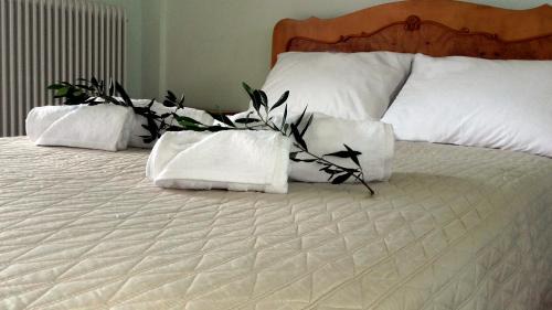 Anthousa Villa | Deskas House. Two Floor Apartment With Excellent View