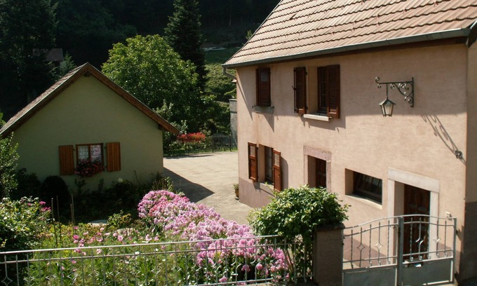 Rimbach-pres-Guebwiller House | Detached renovated house with forest view