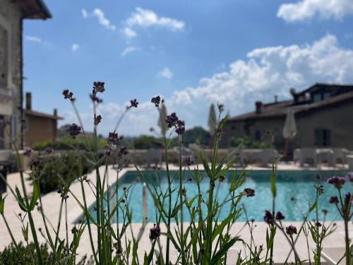 Soiano del Lago Apartment | Dimora del Torchio