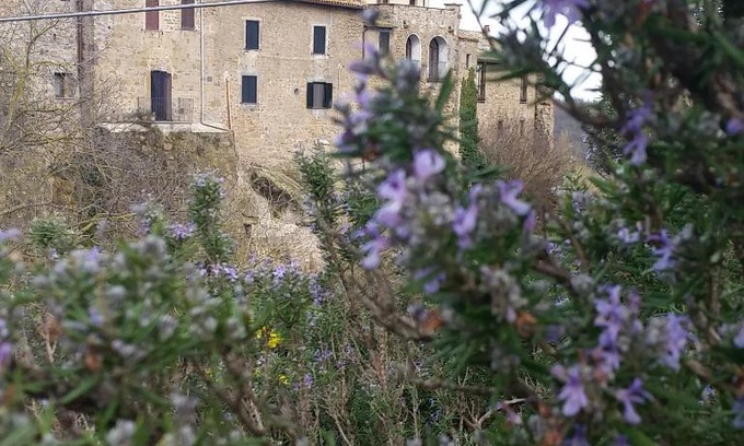 Cellere Apartment | Dimora Plandiana
