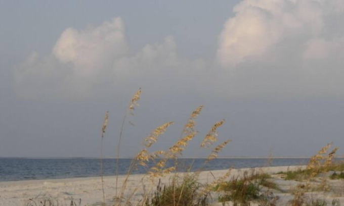 Dauphin Island Condo | Direct Beach Front, Beach/Ocean View, 2 Pools, Stylish, Comfortable & Relaxing