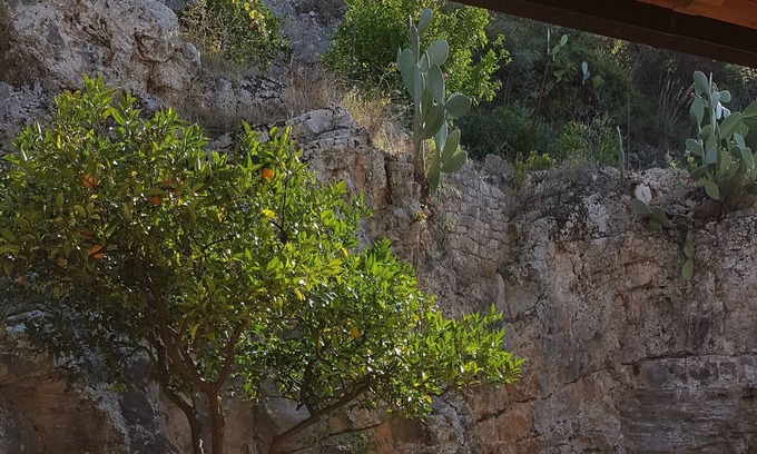 Fondi House | Disabled accessible large stone house in orange grove