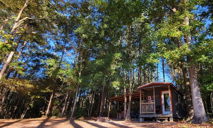 Reynolds Cabin | DISCONNECT! Experience Life Off-Grid