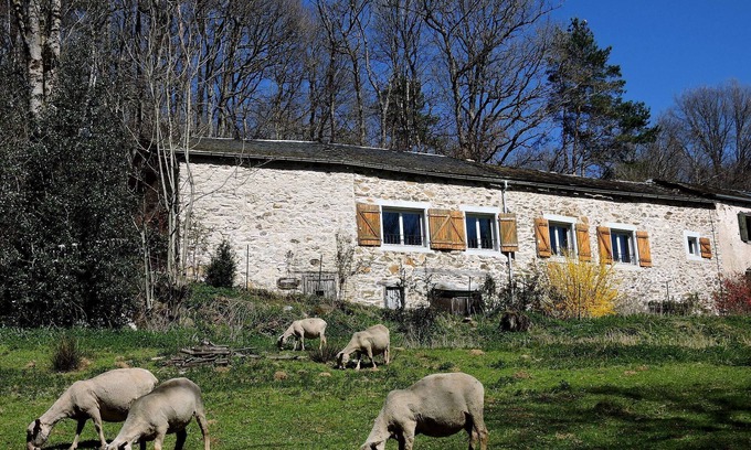 Montredon-Labessonnie House | Discover our gîte for everyone: spacious, comfortable and accessible!