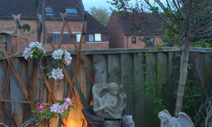 Glastonbury Apartment | Divine Light Centre In Glastonbury, Isle Of Avalon, Land Of King Arthur.