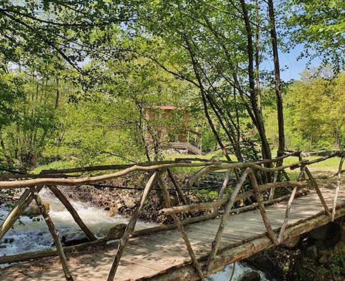 Inegol Ski Chalet | Doğanın Kalbinde Doğallıkla Buluşma Noktası