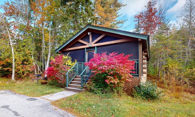 Northport Cabin | Dog-friendly cabin with kitchen, firepit, AC, gym, ping-pong & fun awaits