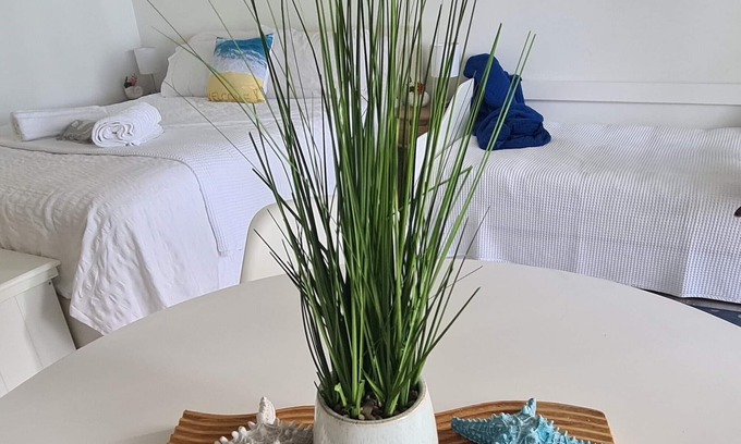 Dolphin Heads Apartment | Dolphin Heads | Resort Unit | ABSOLUTE BEACHFRONT! Whitsunday Getaway!