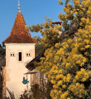 Issac House | Domaine de la Contie