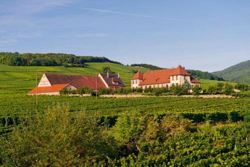 Bennwihr Apartment | Domaine du Bouxhof