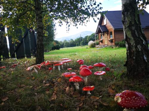 gmina Wilkowice Ski Chalet | Domek na Kamieńcu