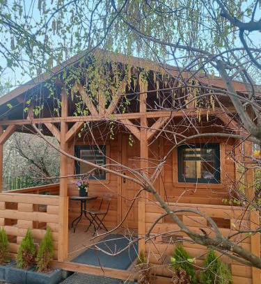 Pszczolki House | Domek pod Brzozami