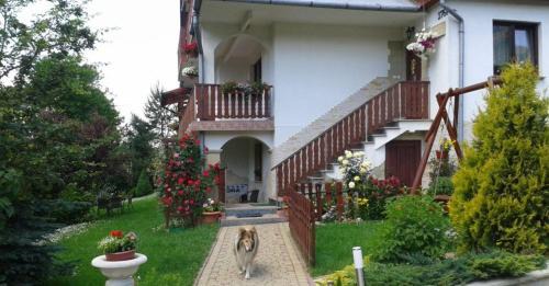 Rabka House | Domek pod Maciejową