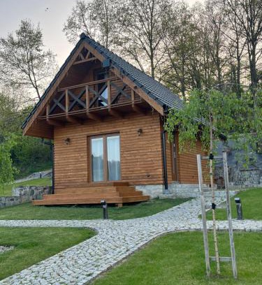 Kamieniec Zabkowicki Apartment | Domek w Górach Bardzkich