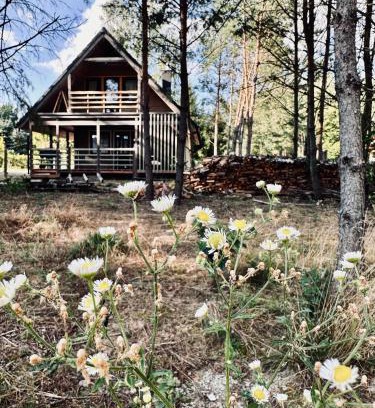 Cekcyn House | Domki pod Aniołem