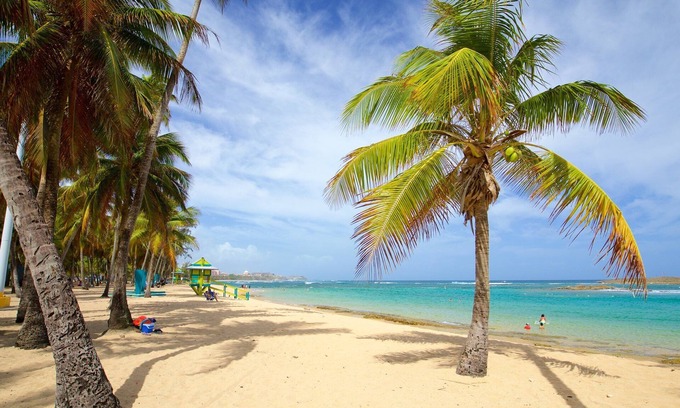 Miramar Apartment | Don Charlie Building