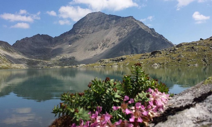 Lieserbruecke Cottage | Double room with shower/WC - Gasthof-Pension PERAUER