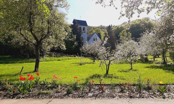 Bad Freienwalde Apartment | Double room for 2 guests with 12m² in Bad Freienwalde (Oder) (272806)