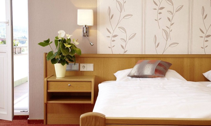 Grafschaft Apartment | Double room, 18sqm, max. 2 persons