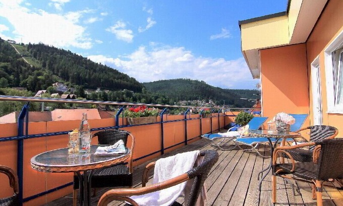 Bad Wildbad Apartment | Double room with shower and WC