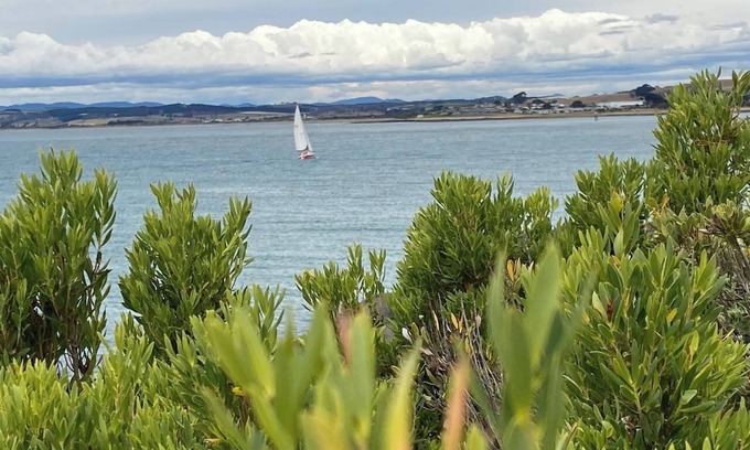 Devonport House | Driftaway@ Devonport