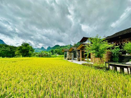 Yen Minh House | Du Gia Field View Homestay