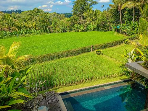 Payangan Villa | Dukuh Ubud Villa #2 Ricefield View