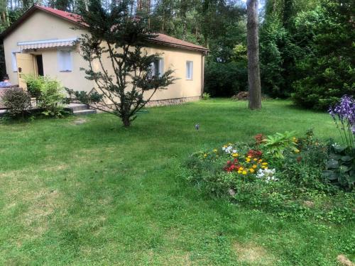 Uscimow House | Dwa prywatne domki letniskowe nad Jeziorem Łukcze