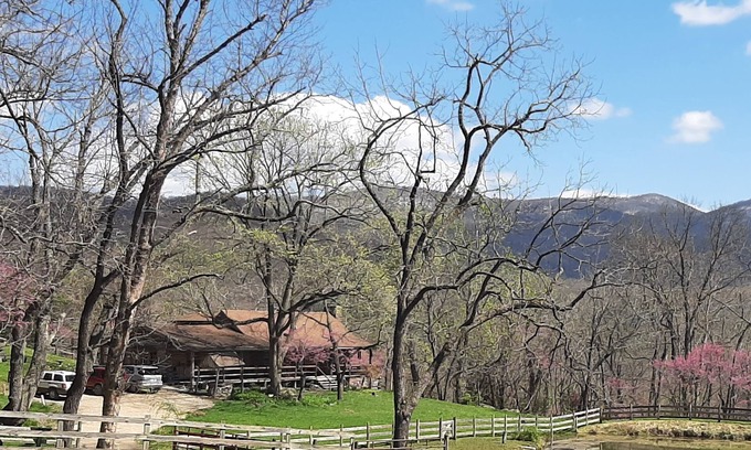 Elkton Cabin | Eagle Log Cabin at Mountaintop Ranch bordering Shenandoah National Park