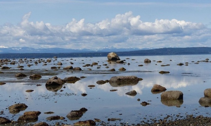 Discovery Islands House | Eagletree Cottage -Secluded waterfront tranquility with spectacular view