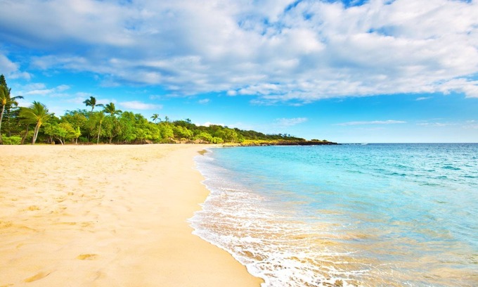 Sardinera Condo | East Corner Sub-Penthouse Million Dollar View! Atlantic Ocean AND Caribbean Sea!