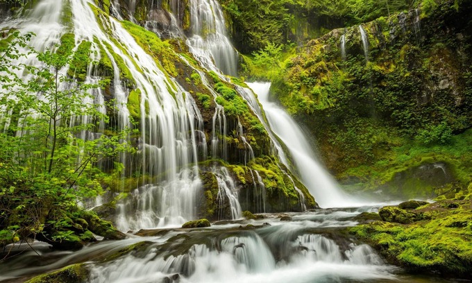 Forest Hill House | Easy access to a world of travel options !