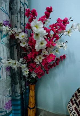 Awas Villa | Easy View 2Bhk villa