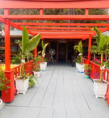 Cat Hai House | Eco Floating Stay Cai Beo