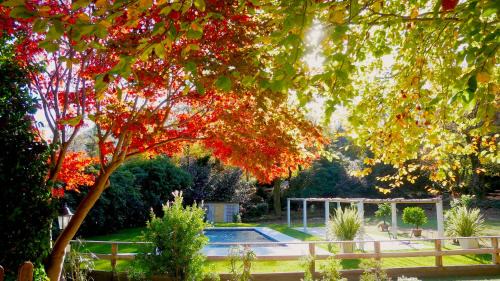 Bracchio Bed & Breakfast | Eco-Resort Parco Botanico Fiorlago