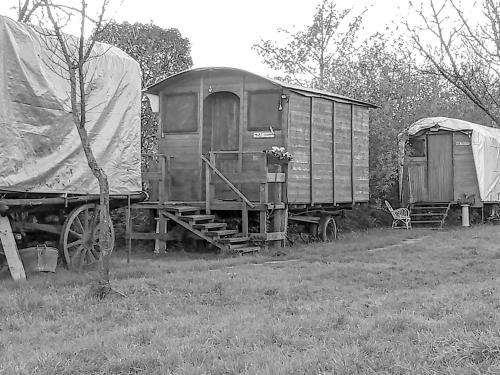 Zelarino Other | Ecogarden camping with rooms