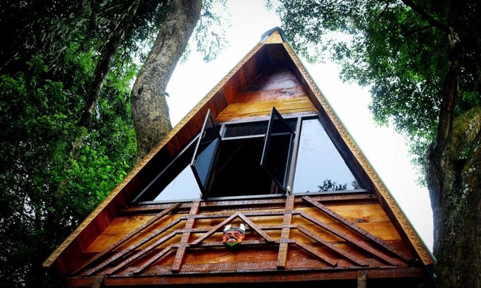 Virarajendrapet Bed & Breakfast | Econest treehouse