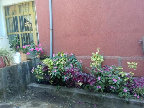 Lalibela Apartment | Eden Guest House