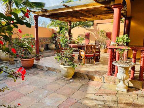 Zig Zag Ward Apartment | Effie Mountain View Gecko Villa