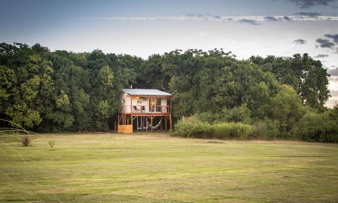Colonia del Sacramento Cabin | El Nido - Treehouse - The Nest - Sleep and enjoy life in a Treehouse