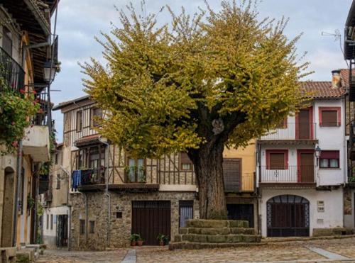 Herguijuela de la Sierra House | EL VIEJO OLMO