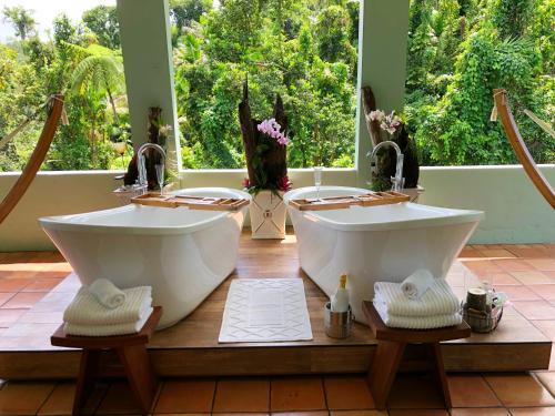 Jimenez Bed & Breakfast | El Yunque Rainforest Inn