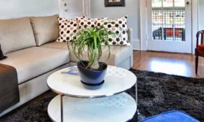 Charlotte Condo | Elegant 1BR King Condo | Elizabeth-Plaza Midwood