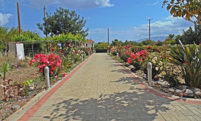 Latchi Villa | Eliofos Luxury Villa - Private Pool, Wifi, BBQ, Smart TV