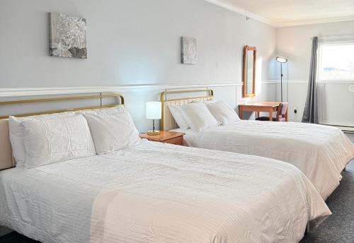 Whitehorse Hotel | Elite Hotel -Downtown Center- "Ski & Northern light Tour" "Hot Spring Tour "Long-term stay"