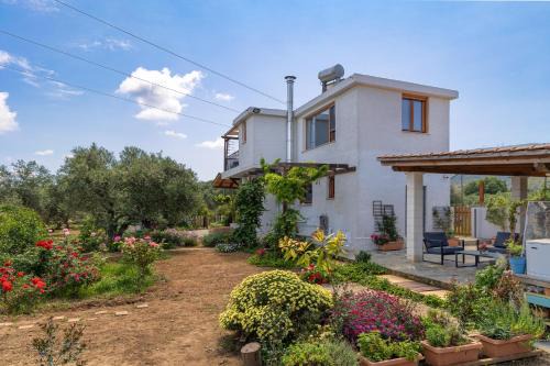 Nerokouros House | Eliva house