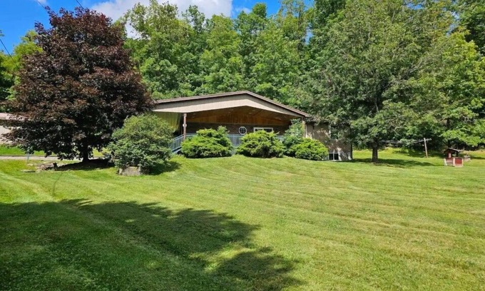 Benezette House | Elk from the Hot Tub - Bugle Inn